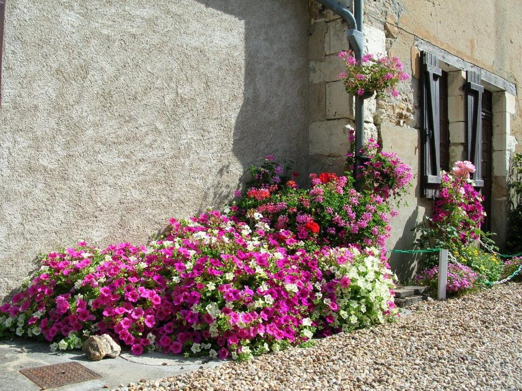 Hotel Logis Le Moulin Fleuri Veigné Exterior foto